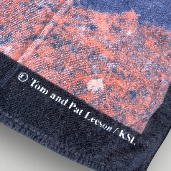 Vintage Disney Tiger Bath Towel Tom & Pat Leeson Huge 60 x 30 Beach Towel Brazil - Picture 3 of 5